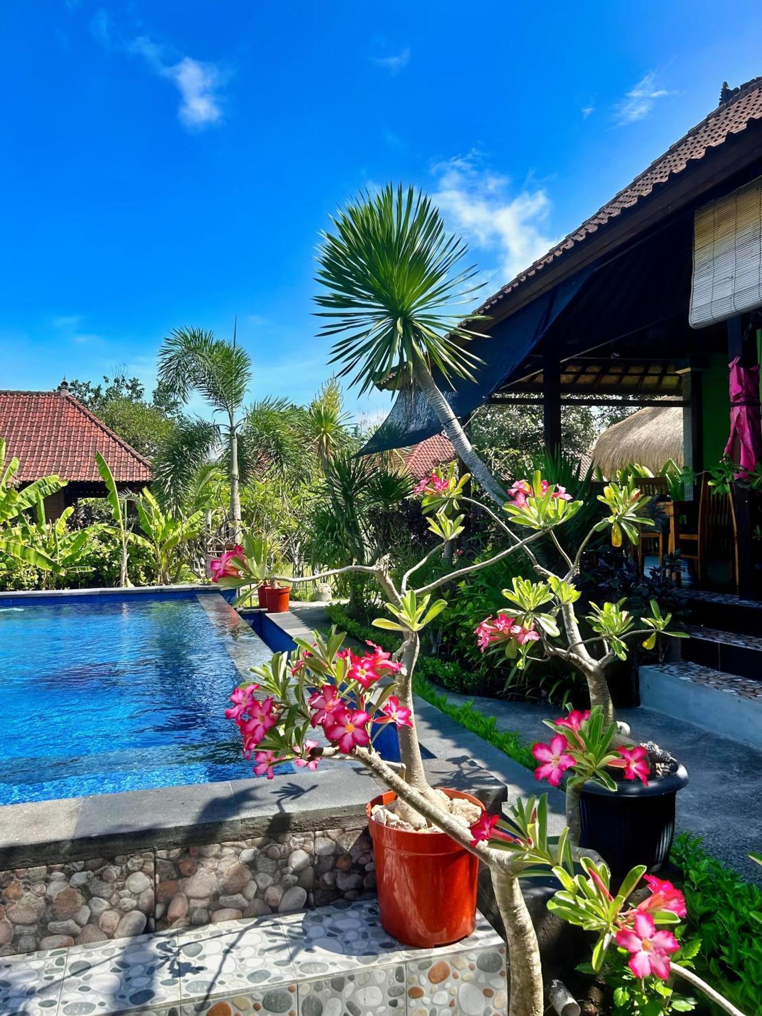 Island Garden Huts Lembongan Exterior foto