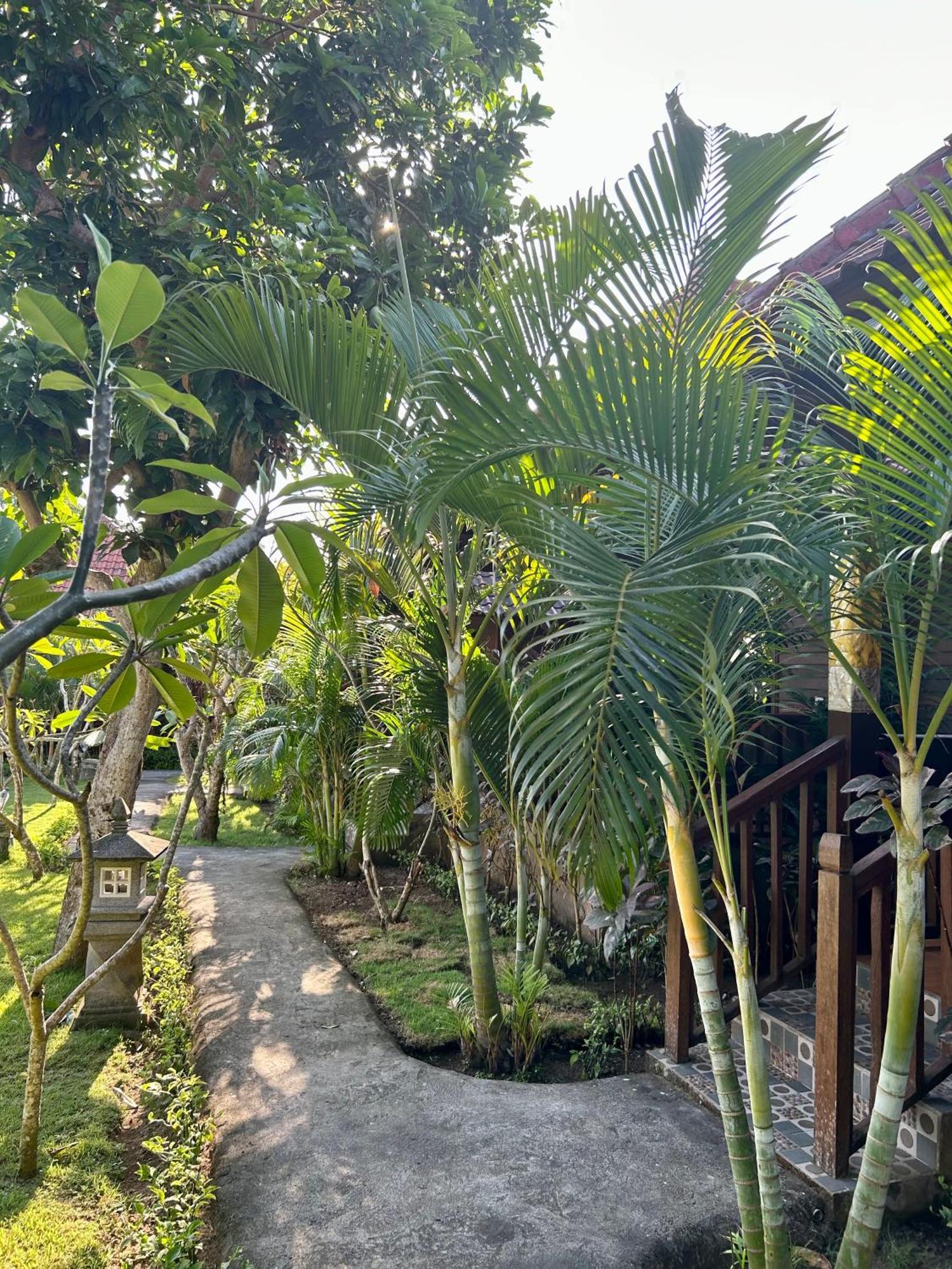 Island Garden Huts Lembongan Exterior foto