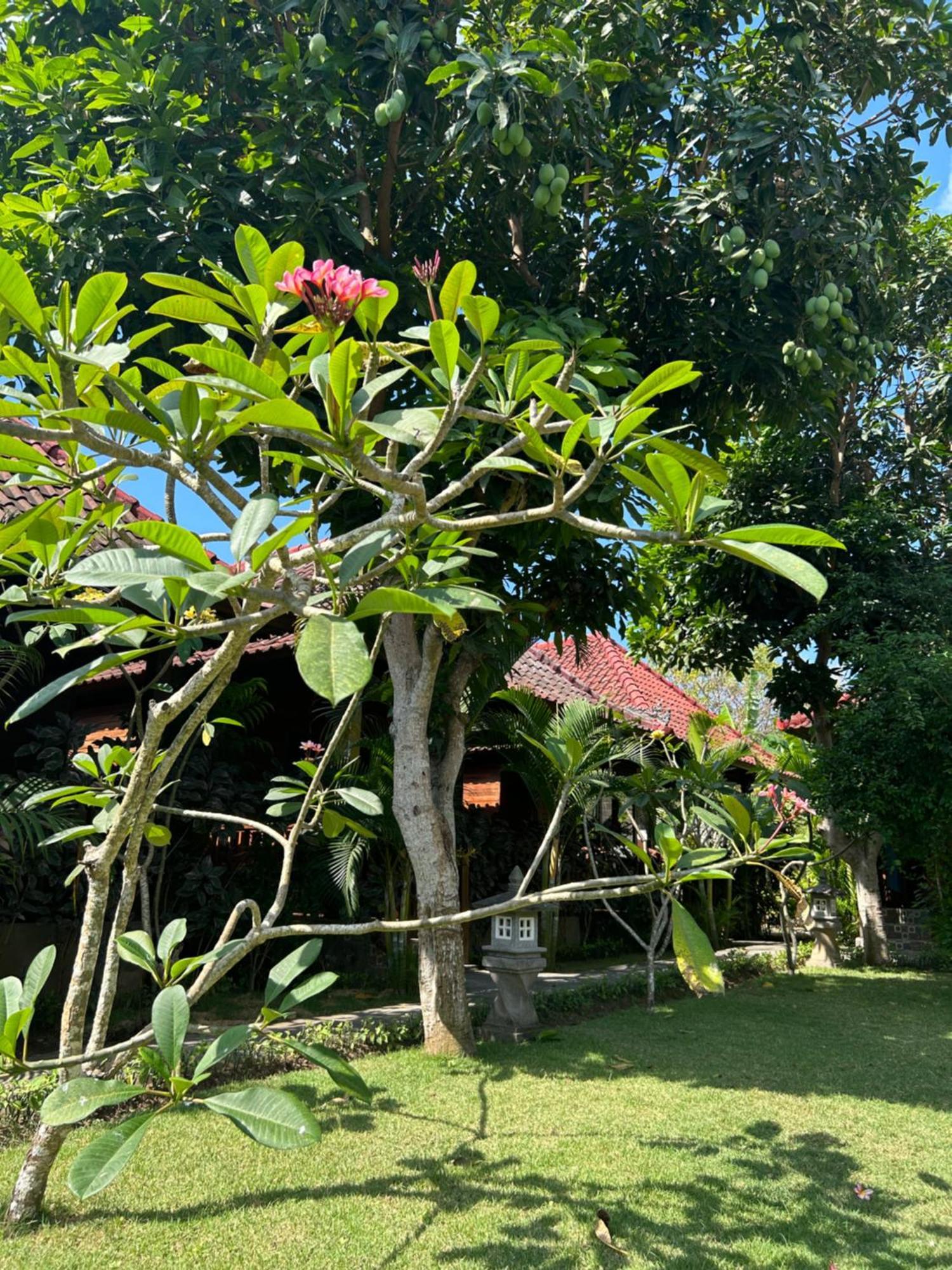 Island Garden Huts Lembongan Exterior foto