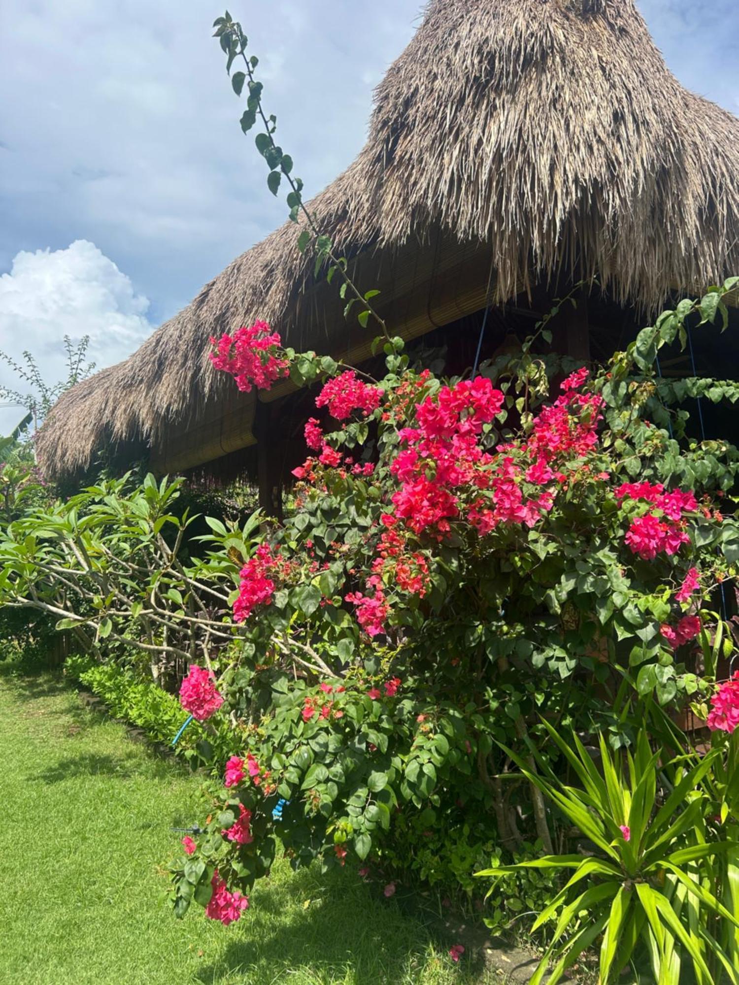 Island Garden Huts Lembongan Exterior foto