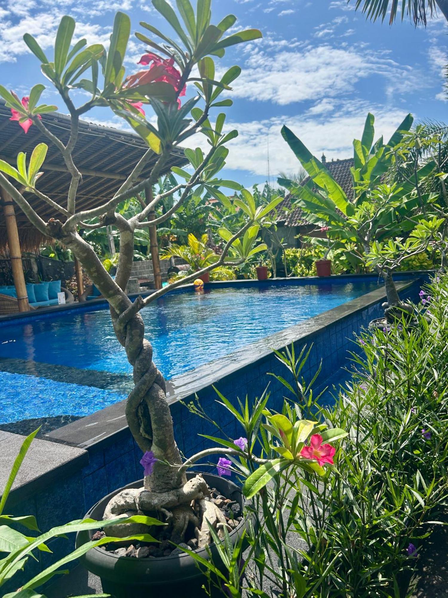 Island Garden Huts Lembongan Exterior foto